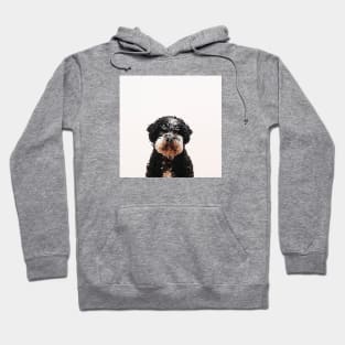 Buster the Havanese Dog Hoodie